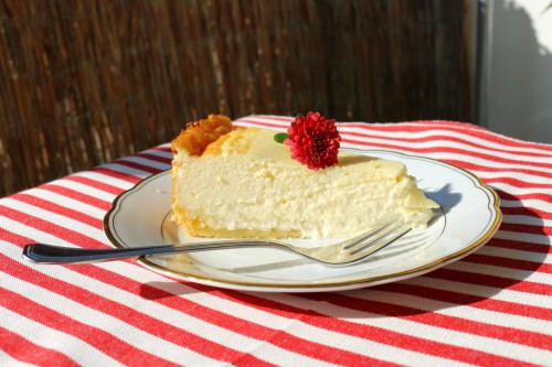 Quarkkuchen aufgeschnitten mit Aster