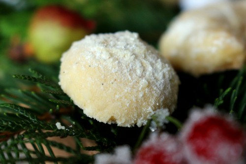 Schneeflöckchenplätzchen auf Zweig